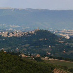 Todi