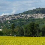 assisi